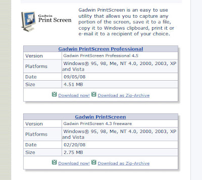 Gadwin PrintScreenのダウンロード