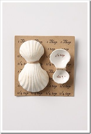 shellmeasuringspoons shellmeasuringspoons