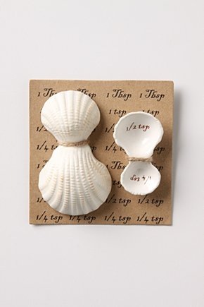[shellmeasuringspoons[3].jpg]