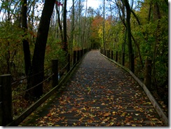 Mt. Vernon trail 2
