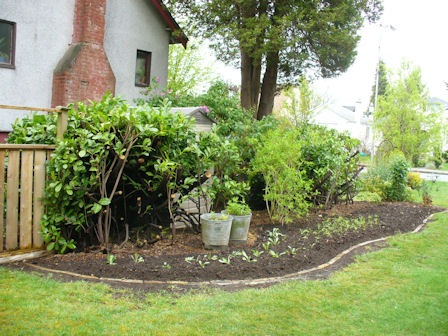 [NewDyeGarden[3].jpg]