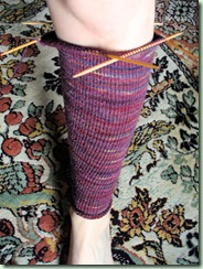 HappyLegs_prog1
