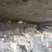 DSC00061.JPG