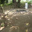 DSC00244.JPG