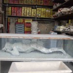 Uğur Küçükkaya - Pompeii gezisi (italyam.com) / 13 Uğur Küçükkaya - Pompeii gezisi (italyam.com) / 13