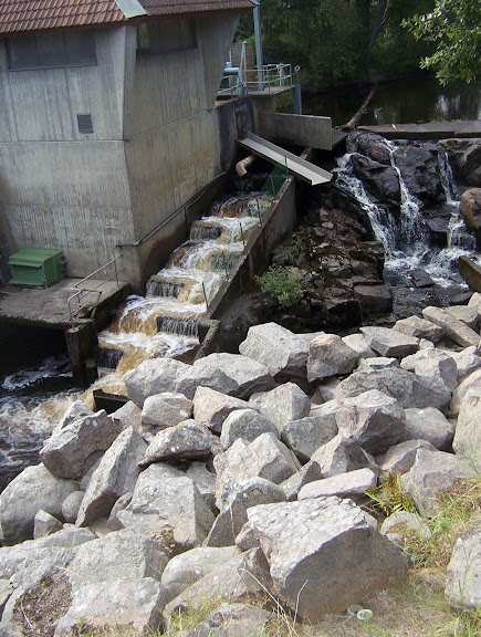 lachs und fischtreppe mit wehr svanskoog