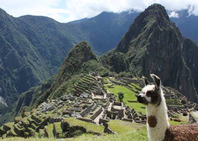 Machu Picchu 