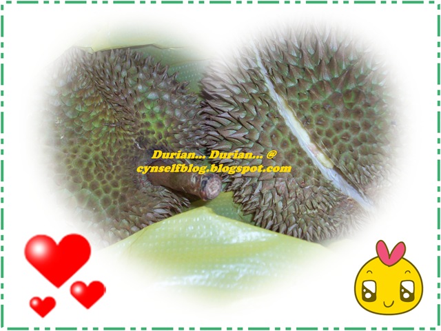 [durian 1[2].jpg]