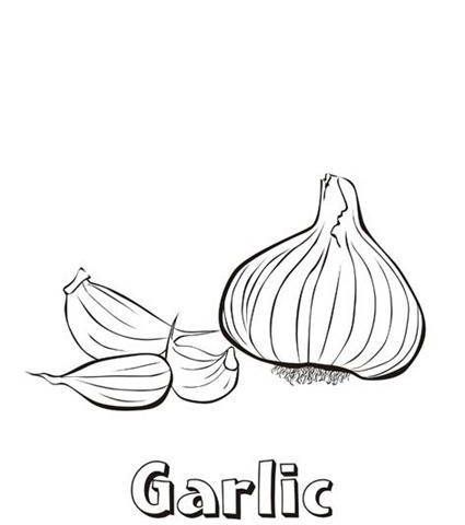[garlic[5].jpg]