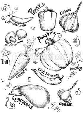 [drawn-vegetables[2].jpg]