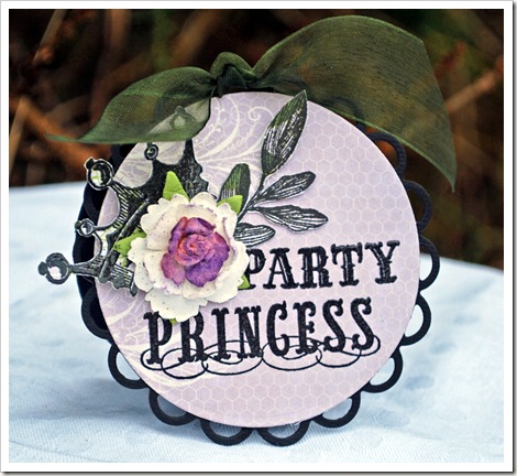 Party princess Party princess