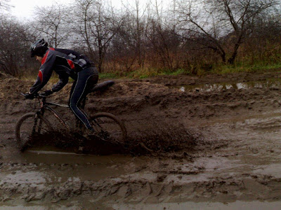 20101120842.jpg