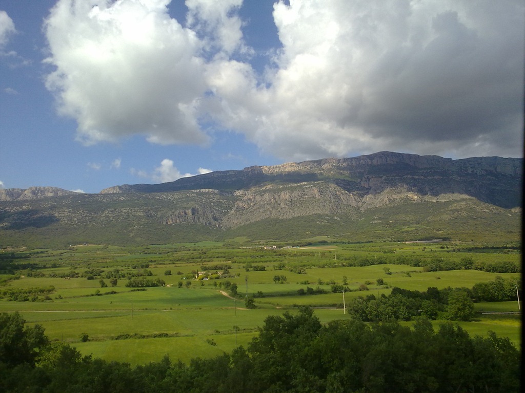 [080520111045.jpg]