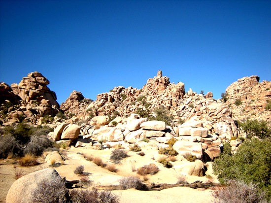 joshuatreerocks2