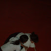 P4200023.JPG