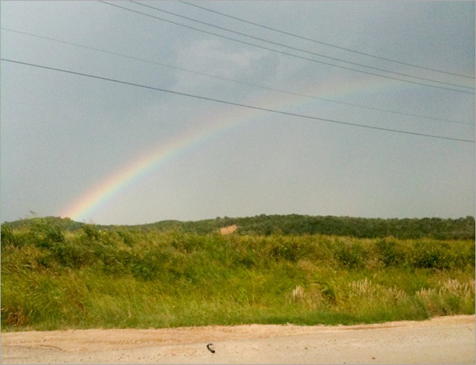 Rainbow (1 of 4)