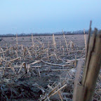 100_0173.JPG