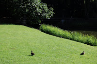 DSC_8418.JPG