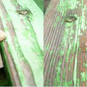 Photo Selection - 20101222