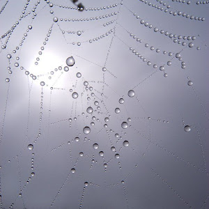 Photo Selection - 20101222
