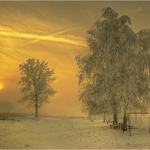 Photo Selection - 20101223