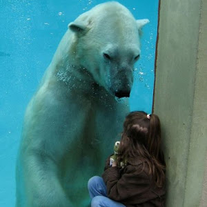 Photo Selection - 20110112