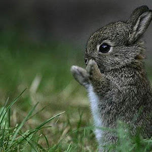 Photo Selection - 20110112