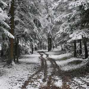 Photo Selection 0 20110105