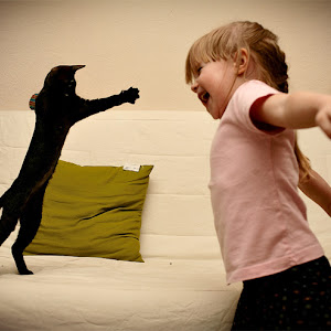 Photo Selection - 20110125