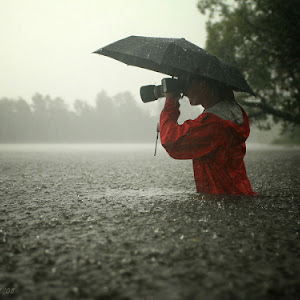 Photo Selection - 20110117