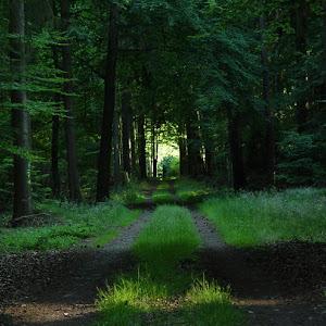 Photo Selection - 20110206