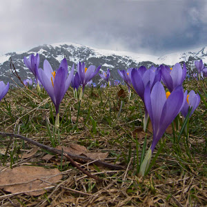 Photo Selection - 20110206