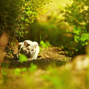 Photo Selection - 20110206