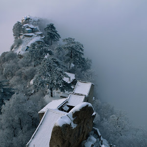 Photo Selection - 20110126