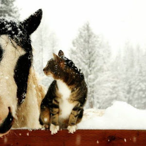 Photo Selection - 20110128