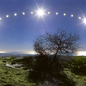 Photo Selection - 20110128