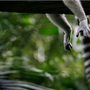Photo Selection - 20110201
