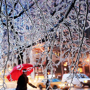 Photo Selection - 20110226