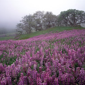 Photo Selection - 20110226