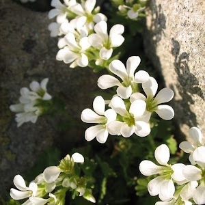 Photo Selection - 20110430