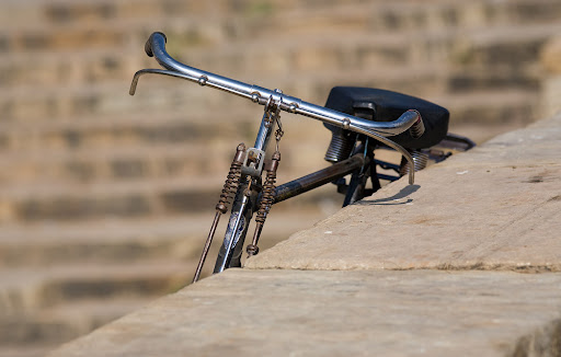 Индия и ёршики