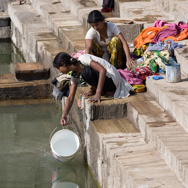 Индия и ёршики