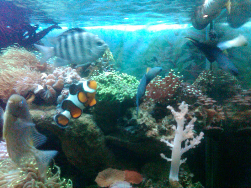 IMG00398-20101128-1924.jpg