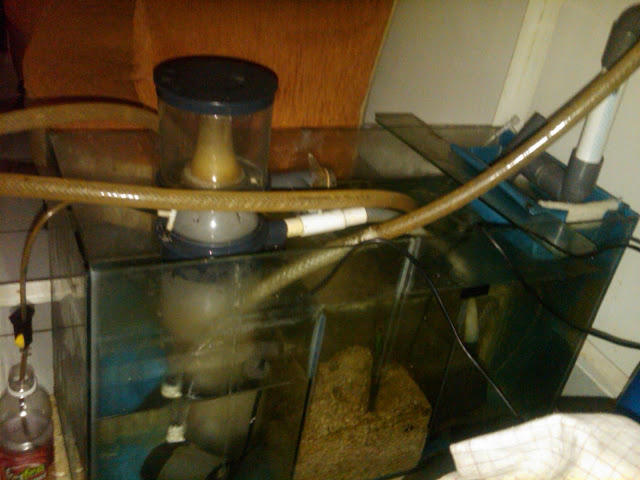 sump%20old%20but%20new1.jpg