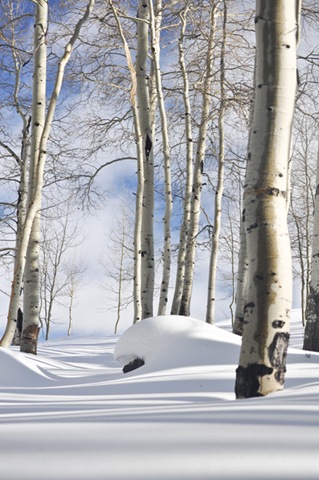 [snow_patrick2_web[5].jpg]