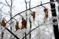 IMG_3823.JPG Photo