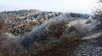 Cergov