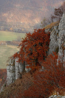 cierna_hora-holica-23.jpg Photo