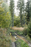 SlovenskyKras-Osadnik-06.jpg Photo SlovenskyKras-Osadnik-06.jpg Photo