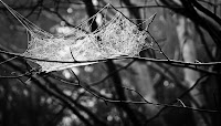 MalaFatra-Magura-Suchy-01.jpg Photo MalaFatra-Magura-Suchy-01.jpg Photo